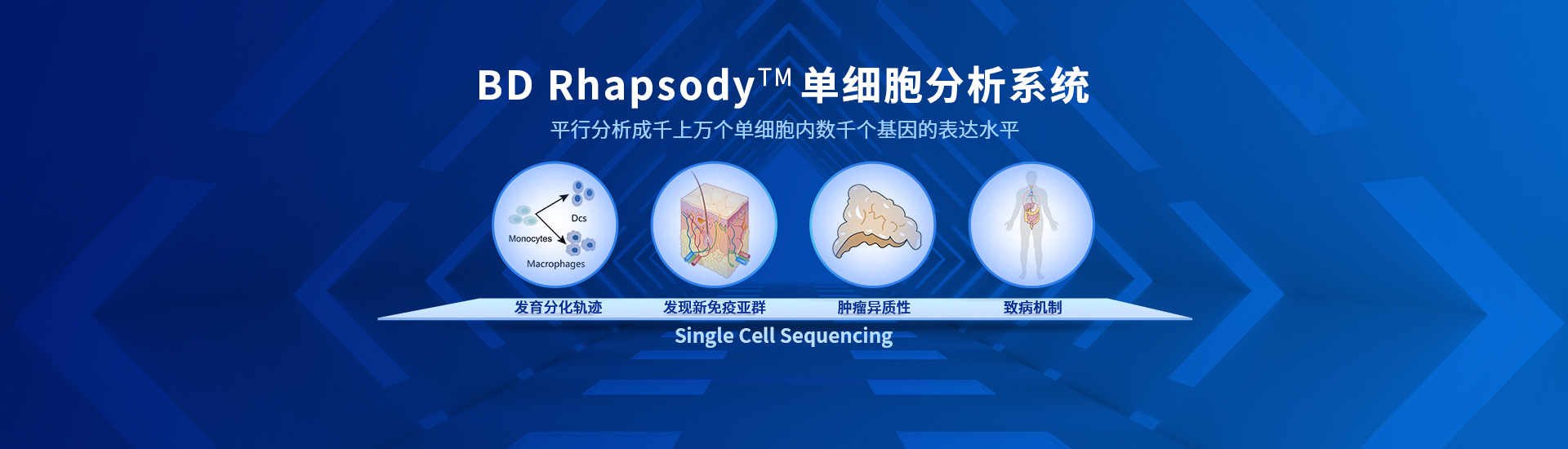 BD Rhapsody单细胞测序核心技术