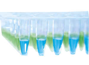 QuantiNova SYBR Green PCR Kit(500)