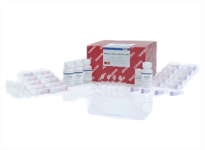 RNeasy Plant Mini Kit (50)
