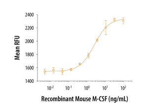 rmM-CSF, CF (10 ug)
