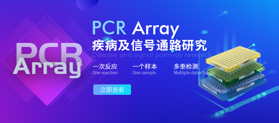 PCR-Array-芯片