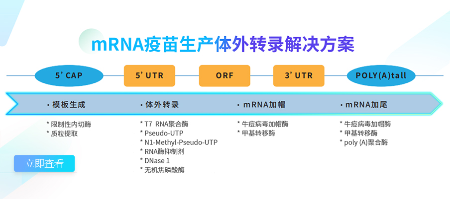 mRNA疫苗生产