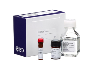 PE Annexin V Apoptosis Detection Kit I