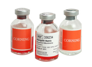 Corning® Matrigel® Growth Factor Reduced (GFR) Basement Membrane Matrix, Phenol Red-Free, *LDEV-Free, 10mL