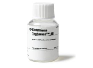 GLUTATHIONE SEPHAROSE 4B, 300 ML