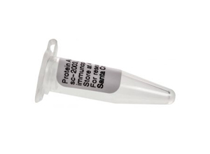 Protein G PLUS-Agarose