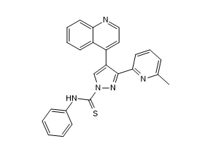A 83-01 (10 mg)