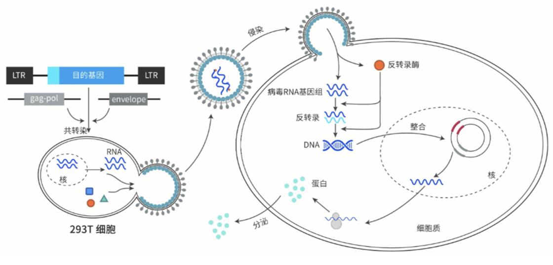 图示描述已自动生成