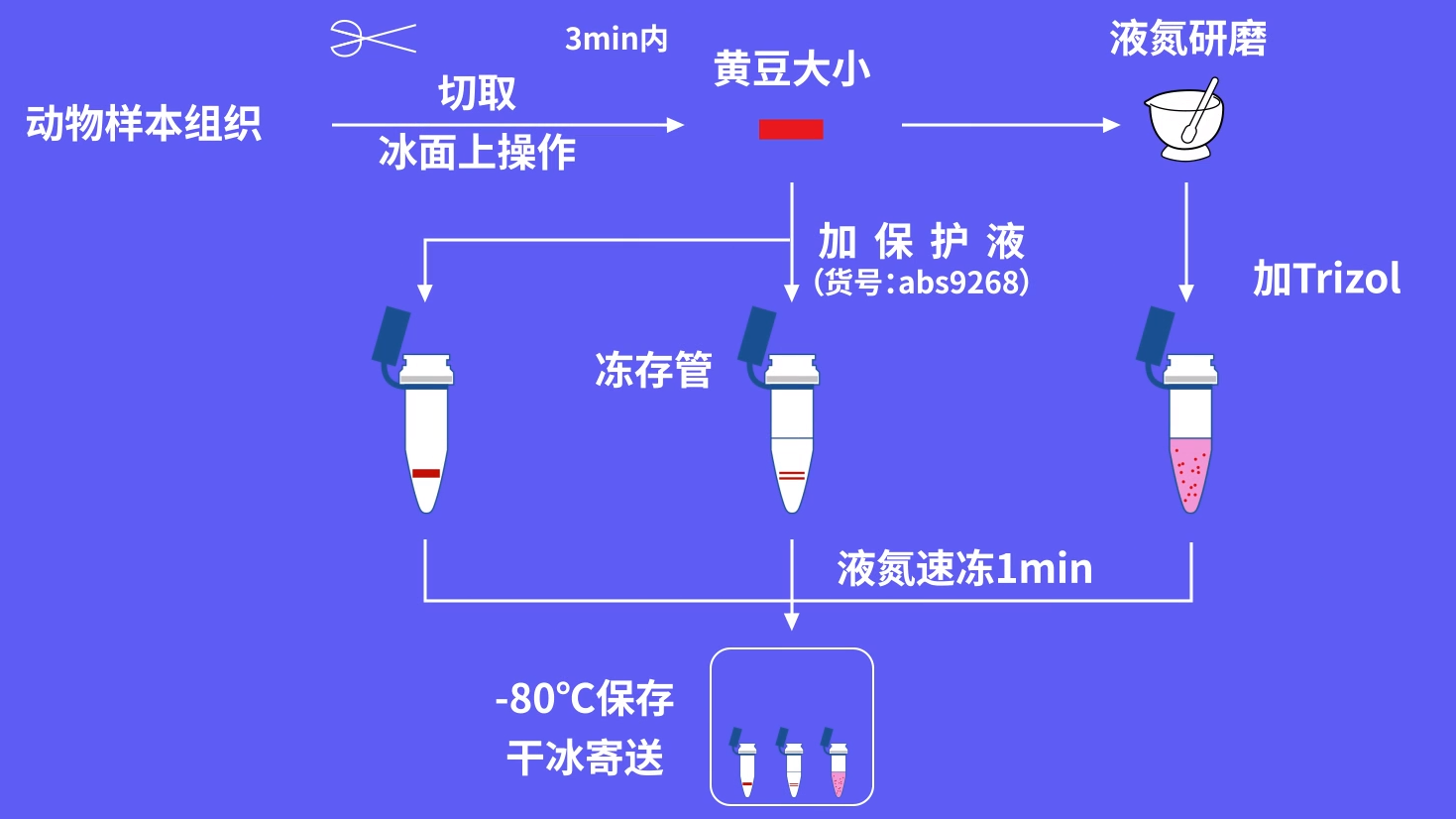 分子实验之如何保证样本核酸稳定?