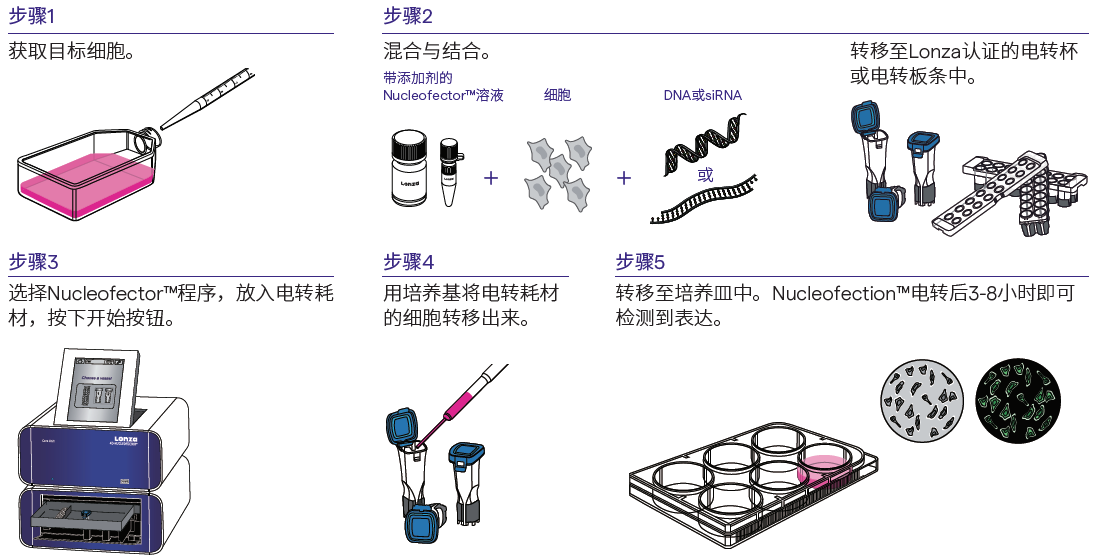 技术资料图片3