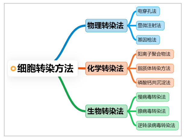 细胞转染这么做，转染效率不再愁！