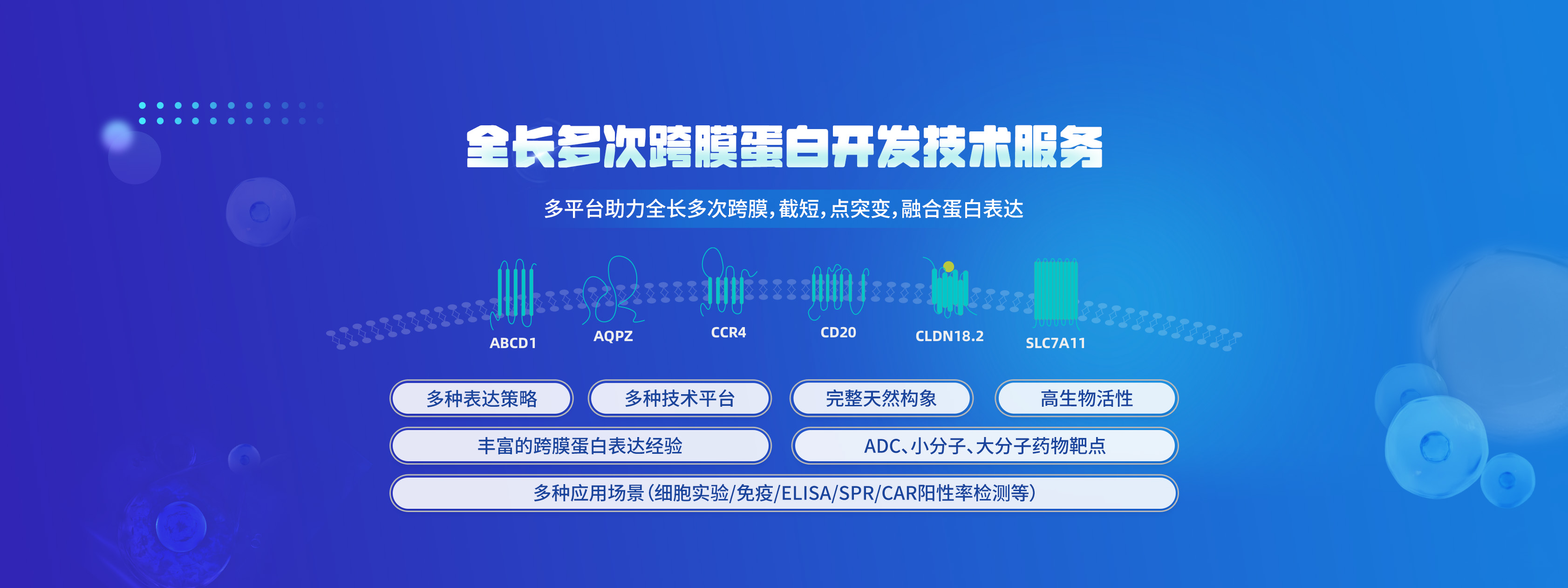 MembPro®——全长多次跨膜蛋白技术平台