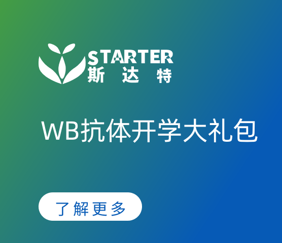 WB抗体开学大礼包