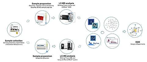 Gibco™ Multi-omics 培养基优化策略开发流程