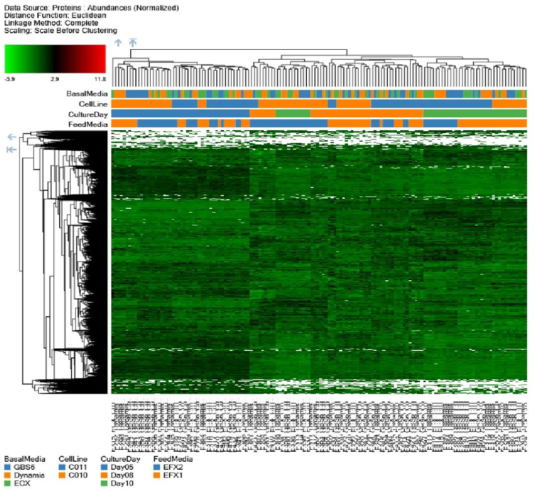 CHO 细胞在某种工艺下的蛋白表达热图