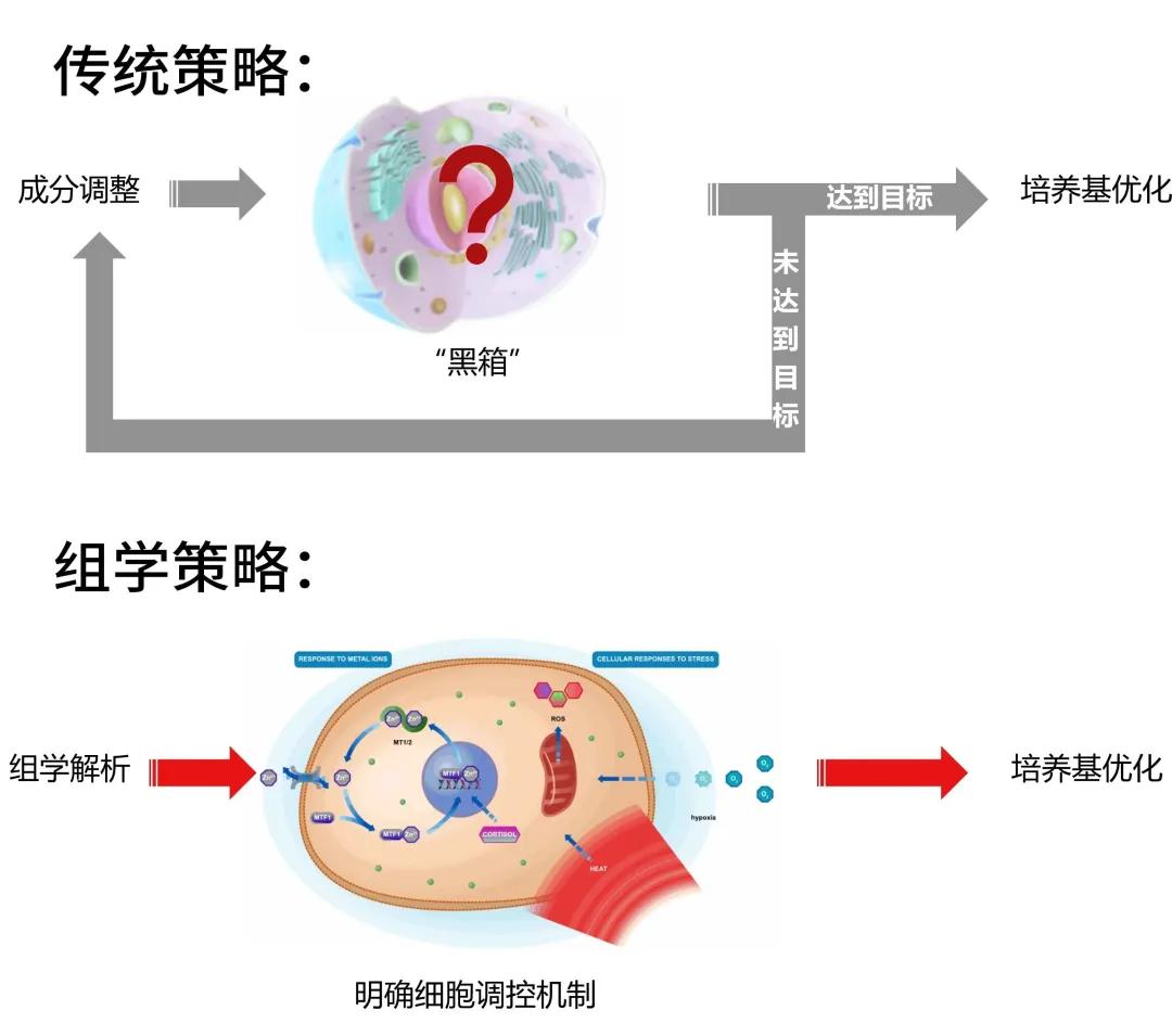 Gibco™ Multi-omics 策略