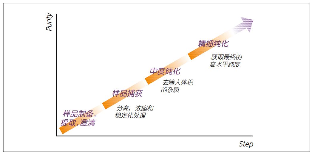AKTA蛋白质纯化策略与实践-三步走向高纯度