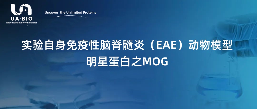 EAE模型：我配拥有MOG蛋白吗？