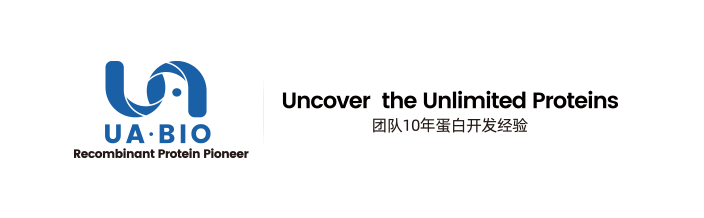 Mouse IL-2 Standard for Quantitive Assays