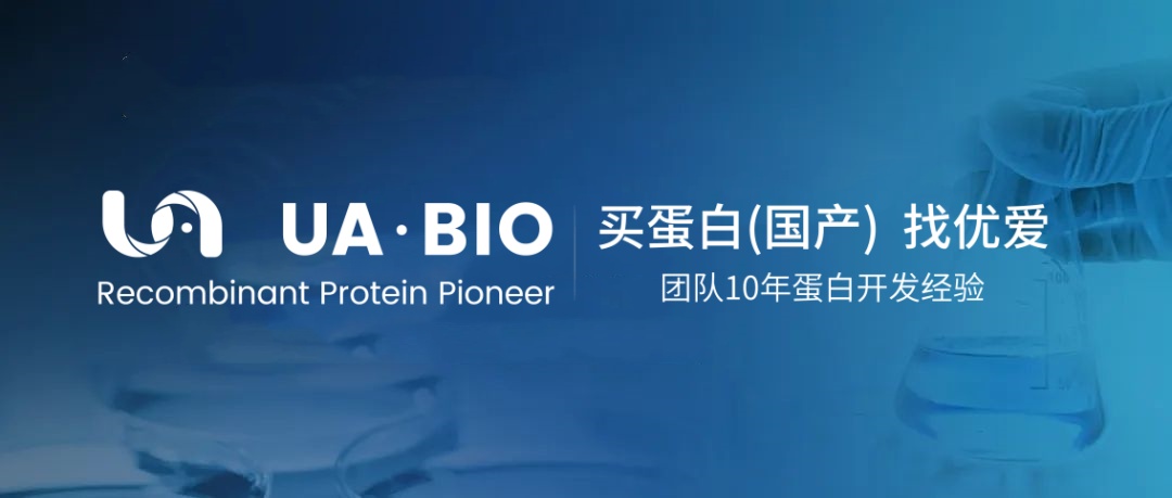 β2-Microglobulin/B2M：小蛋白，大侦探