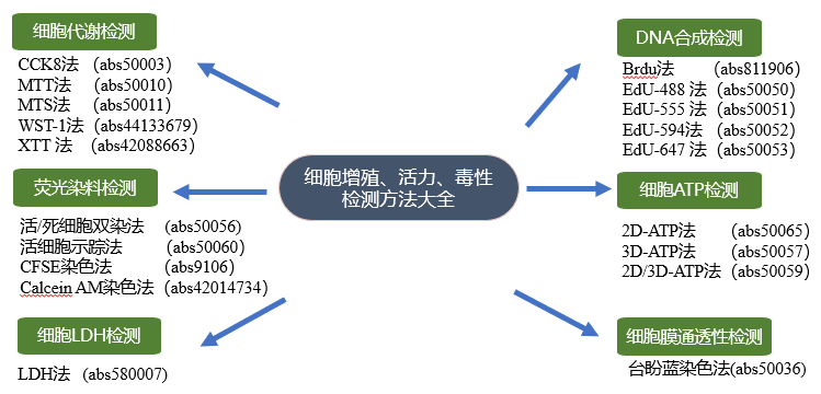 类器官&肿瘤球&细胞增殖、活力、毒性检测全攻略