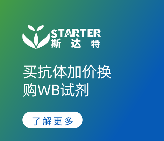 买抗体加价换购WB试剂