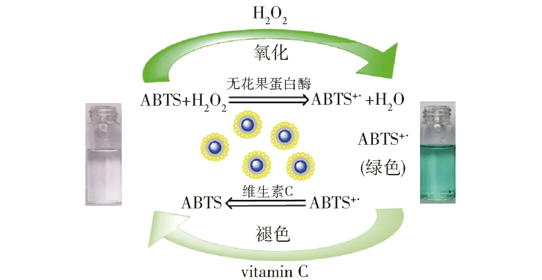无花果蛋白酶与维生素C检测