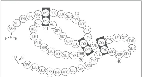 表皮生长因子（EGF）：守护肠道健康的“超级英雄”