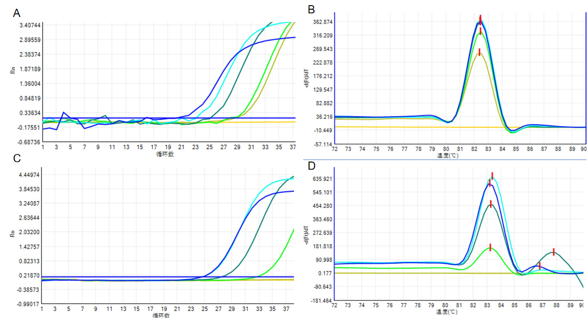 高效精准,一步到位丨免提取One-Step RT-qPCR Kit(染料法/探针法)助力科研与诊断