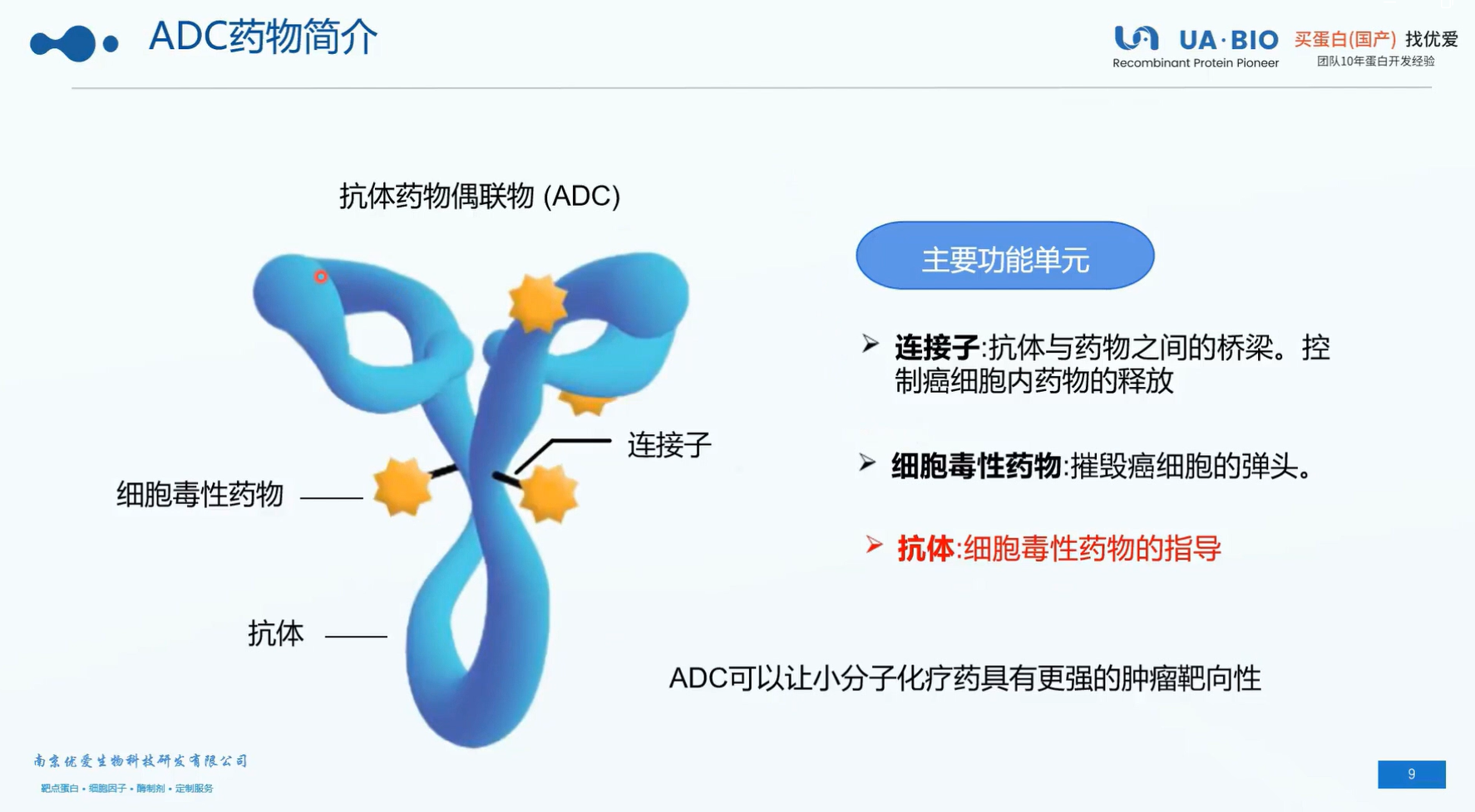 ADC药物及作用机制