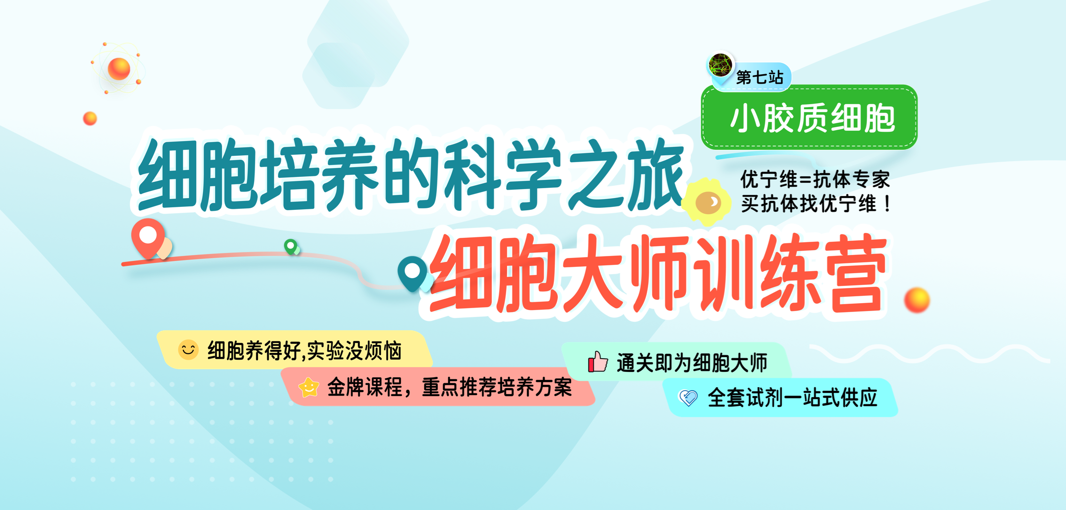 细胞培养之旅