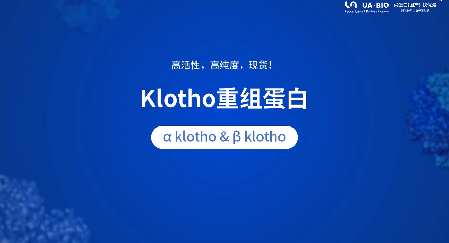 klotho重组蛋白