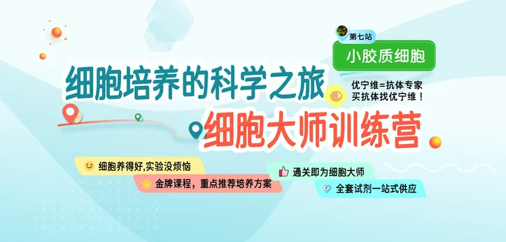 细胞培养之旅