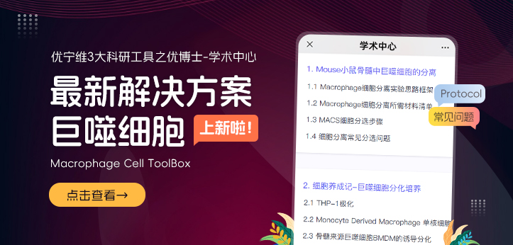 NK细胞解决方案