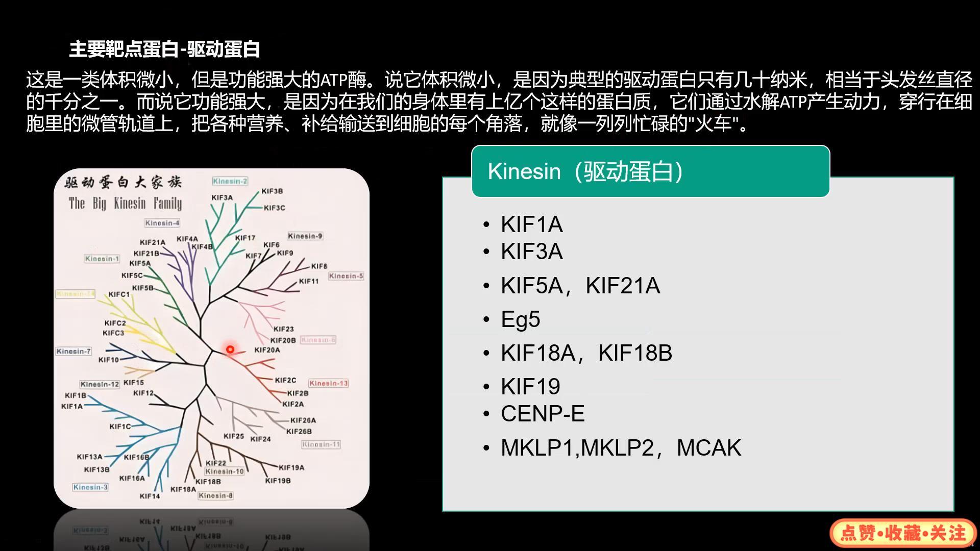 南京优爱主要靶点蛋白-驱动蛋白、转录因子、DNA损伤修复