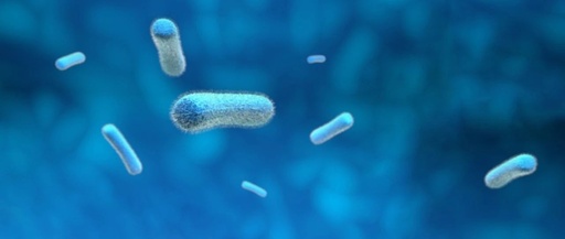 杆状病毒滴度检测：生物制品生产的 “活性标尺” 与质控关键