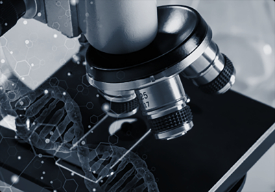树突状细胞工具包Dendritic cells ToolBox