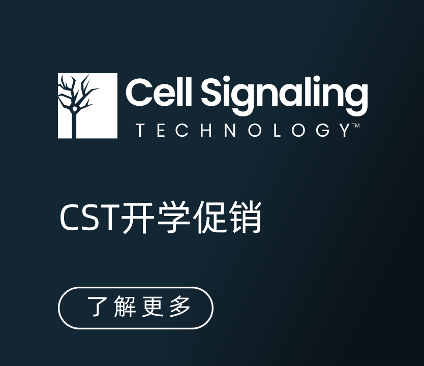 CST开学促销