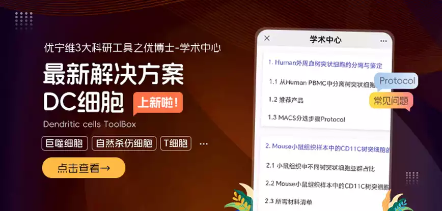 DC细胞解决方案