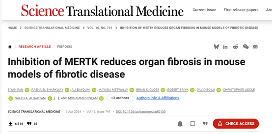 MERTK靶点：如何突破纤维化疾病治疗的临床困境？