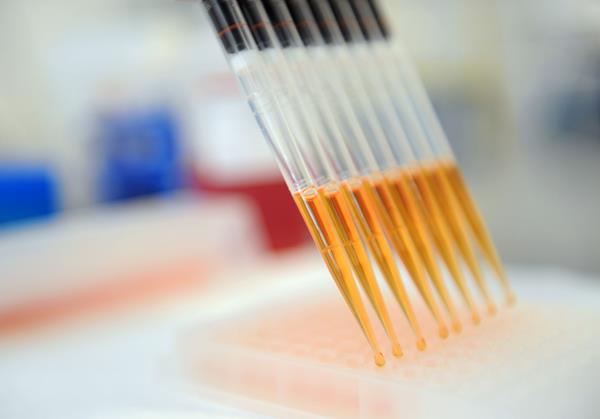 BI 1015550、PROTAC技术与PDE4B靶向降解：药物研发的核心问题解析