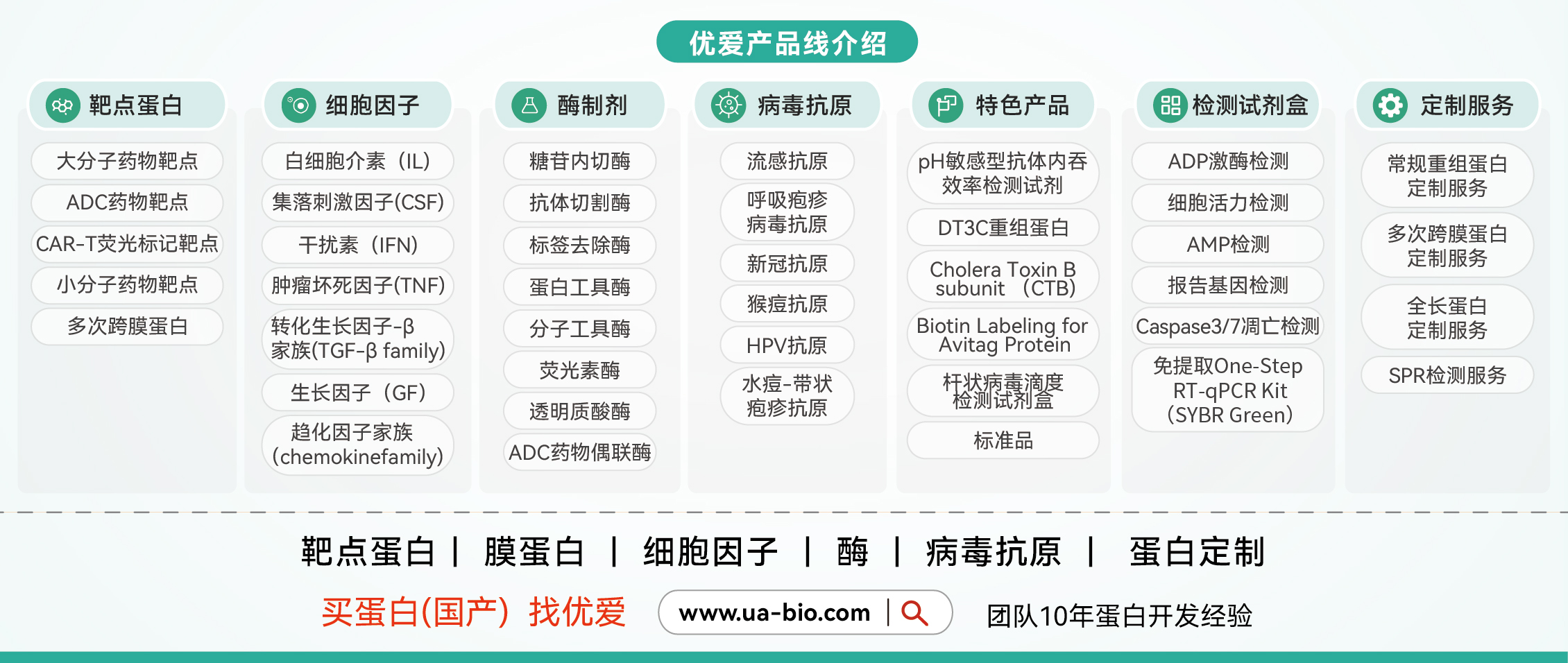 高效扩增高活性CIK细胞：细胞因子在肿瘤过继免疫治疗中的核心作用