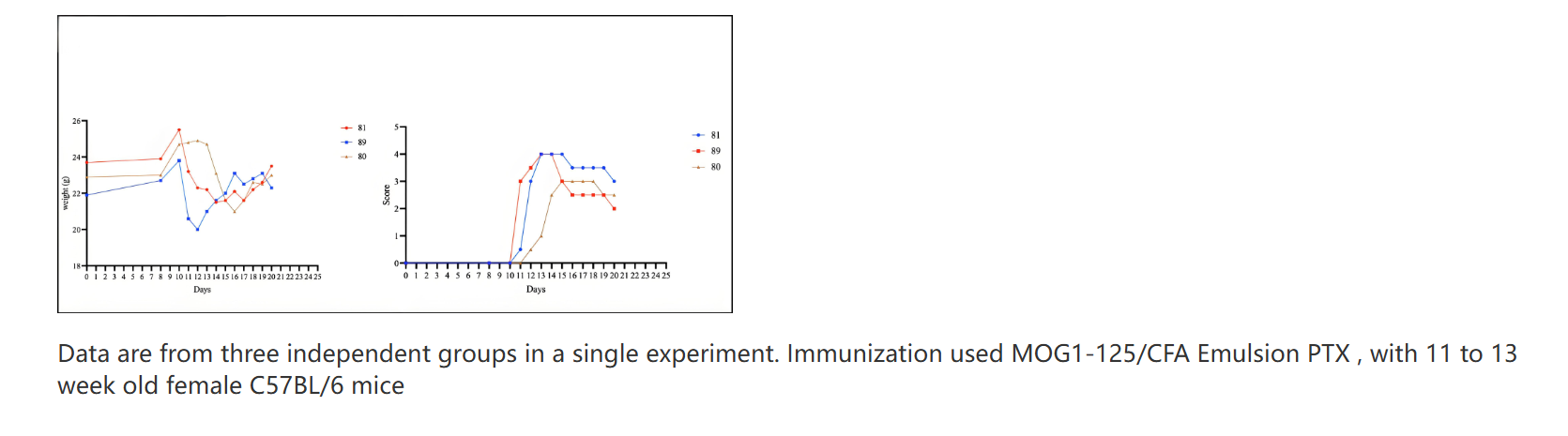 人体内的“误伤”悲剧:MOG,一个引发神经战争的蛋白靶点