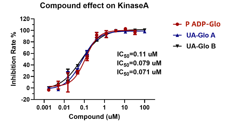 探秘激酶活性:Kinase ADP Assay 的作用原理与应用