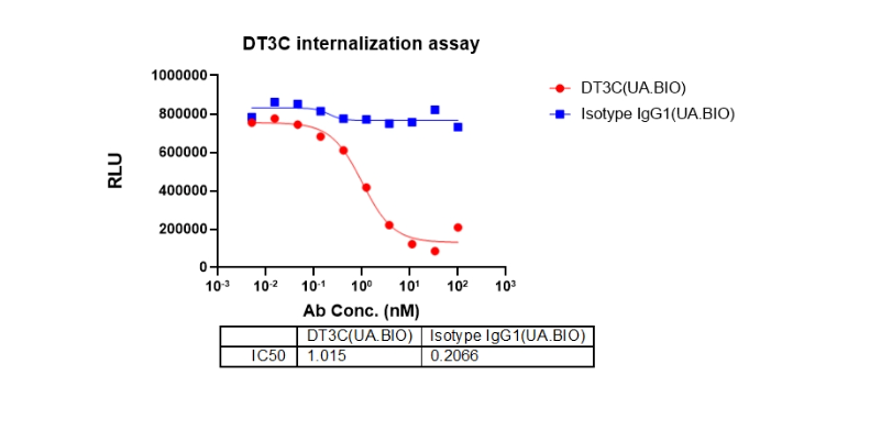 DT3C蛋白:基因组稳定性的守护者