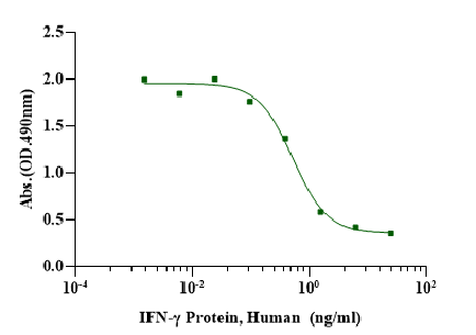 干扰素γ(IFN-γ):信号通路解码与科研应用策略