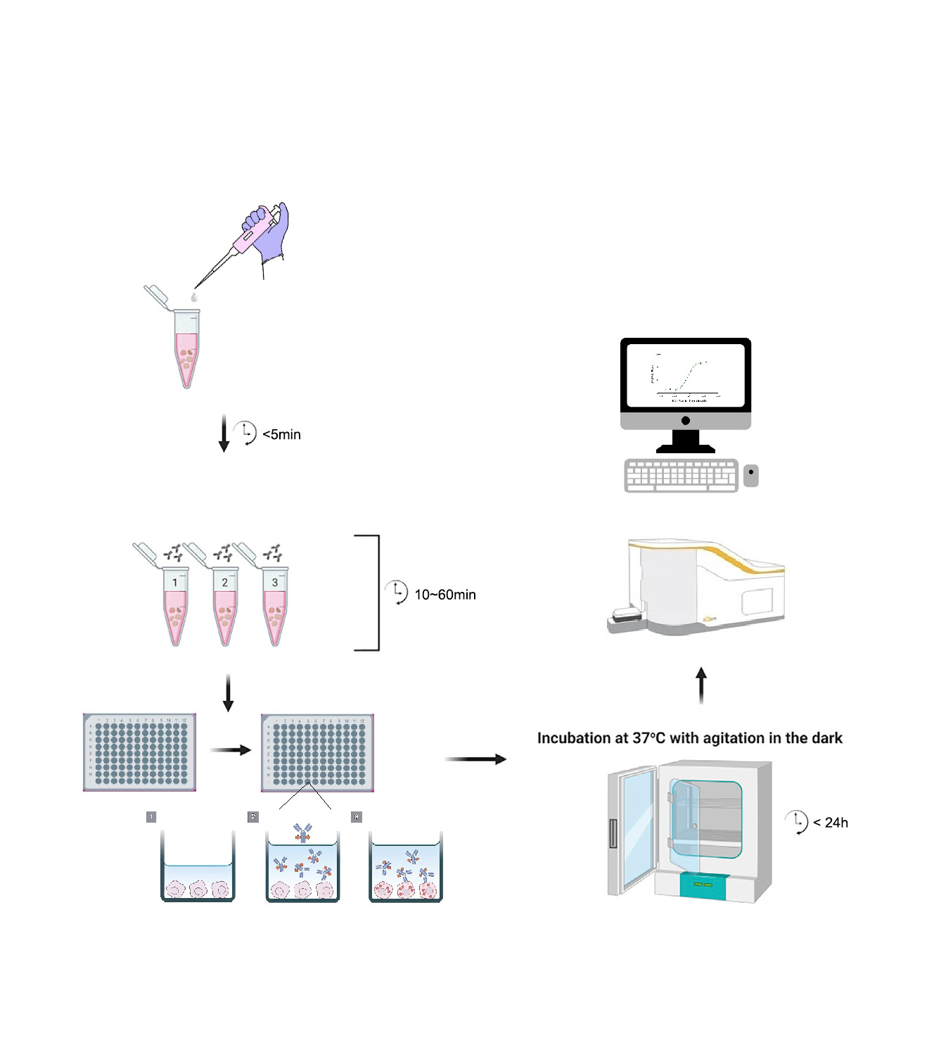 Fluo-8免洗细胞钙流检测：解密细胞"心跳"的关键技术