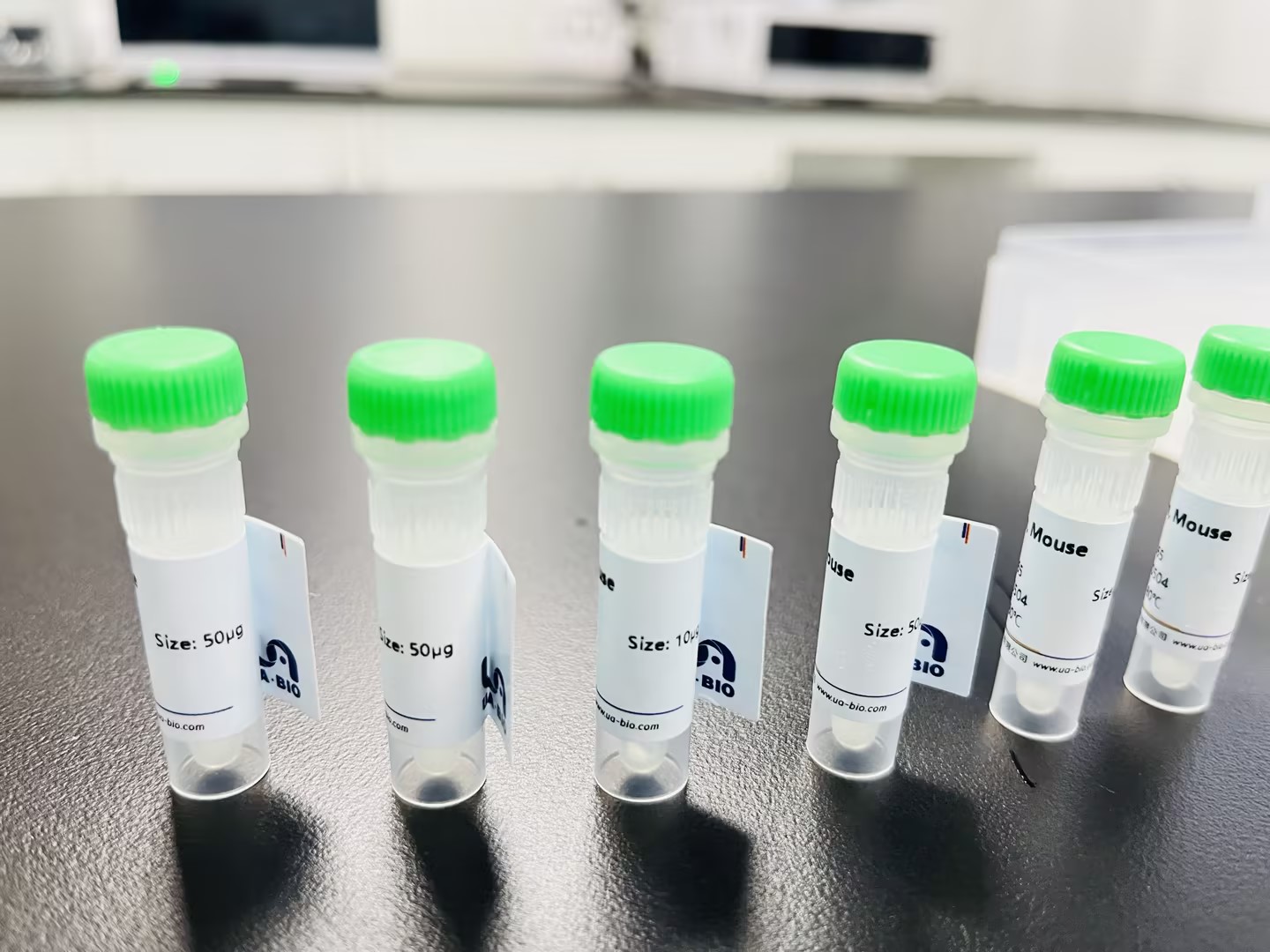 IL-23（白细胞介素23）：自身炎症的"稳定器"与屏障免疫的"调节器"