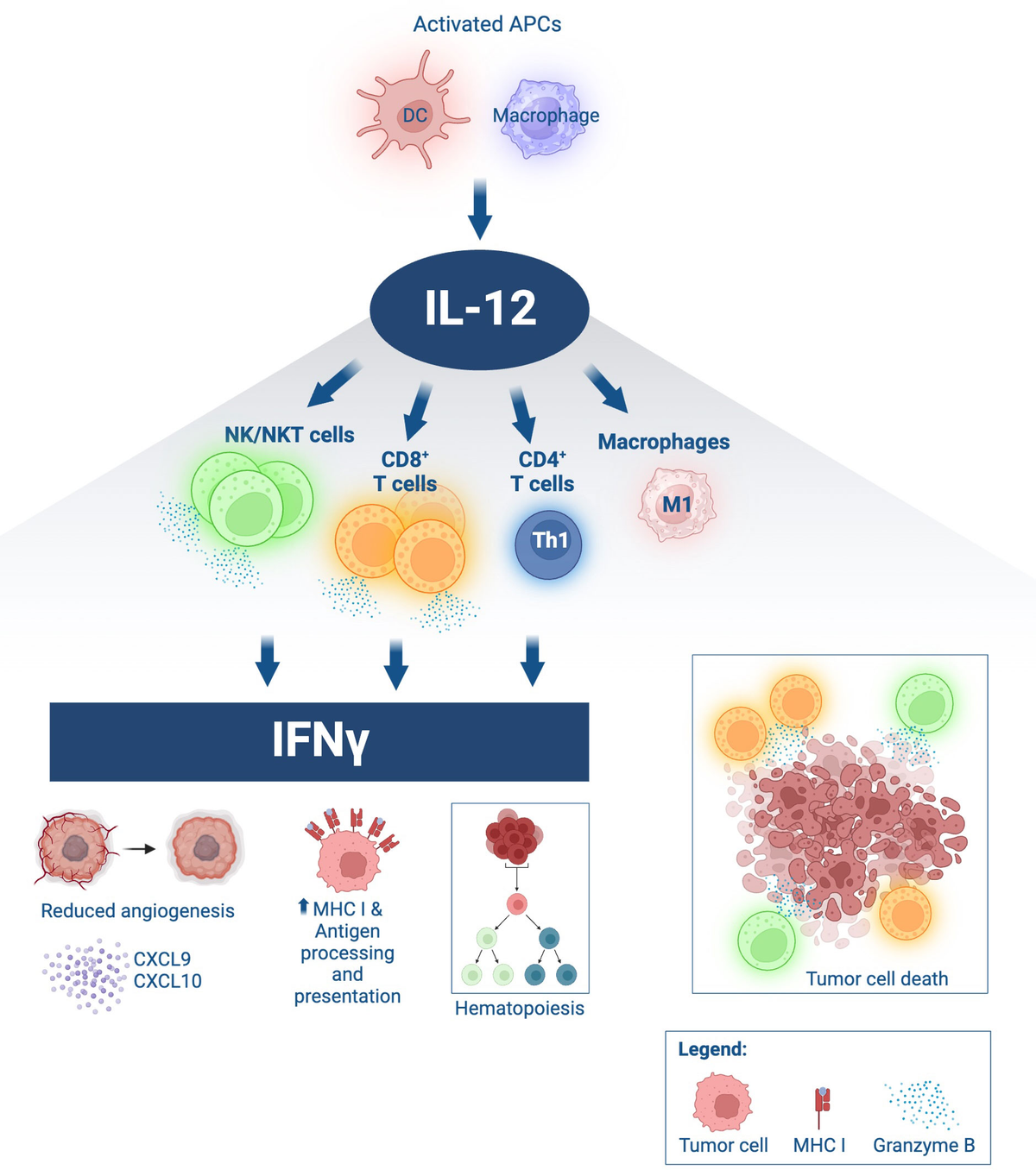 Human IL-17A/IL-17RA Binding Kit:基于BLI的互作动力学标准化检测方案