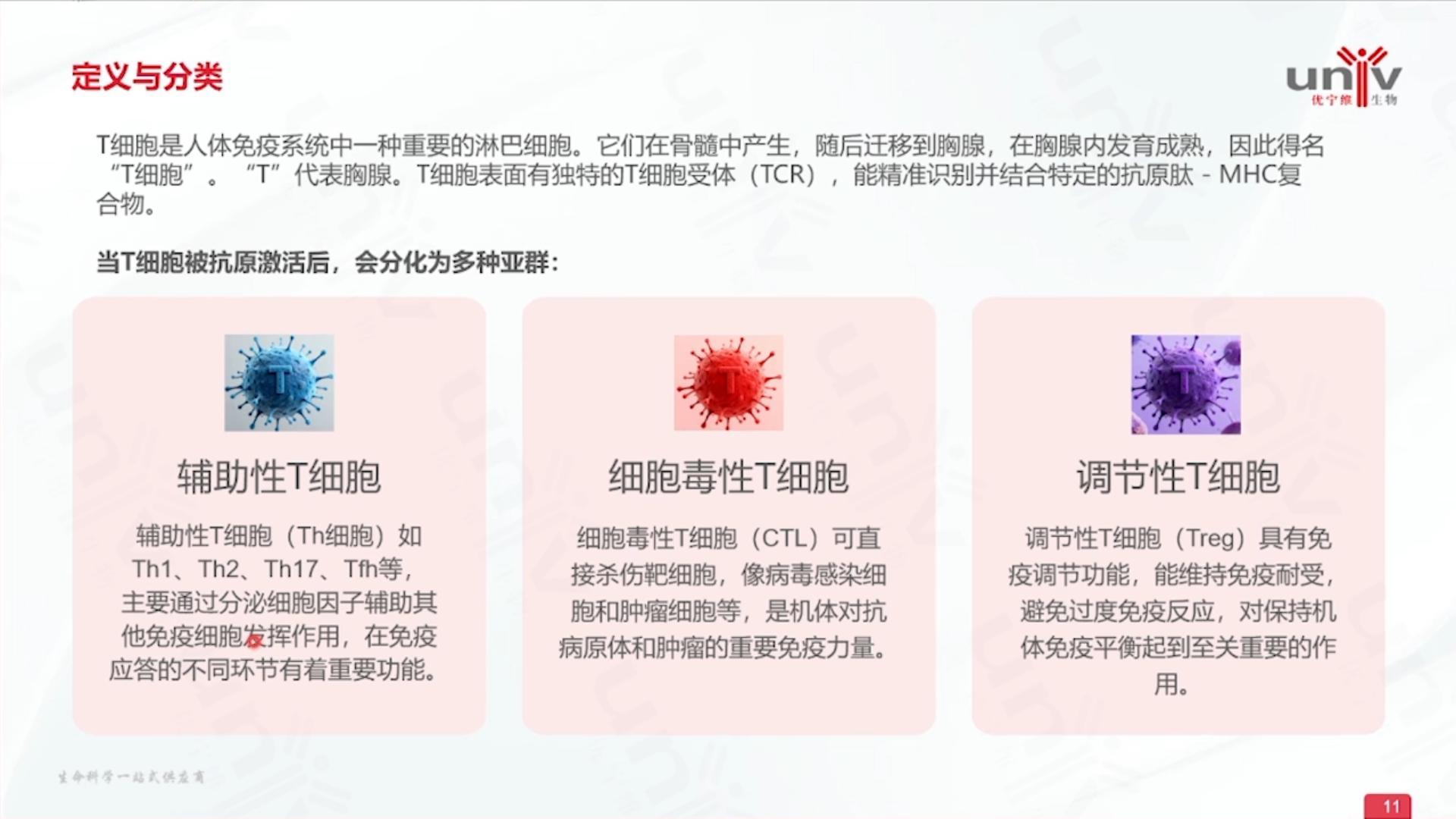 T细胞的分类和信号传导